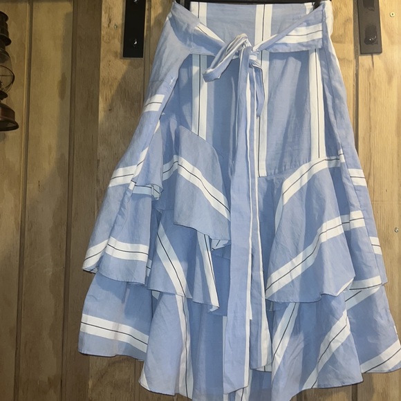 PO: Zara women’s skirt. - Picture 2 of 4